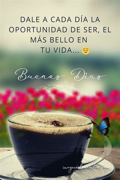 Regardless of what life throws your way, remember that with enough determination, nothing is impossible. . Buenos dias quotes